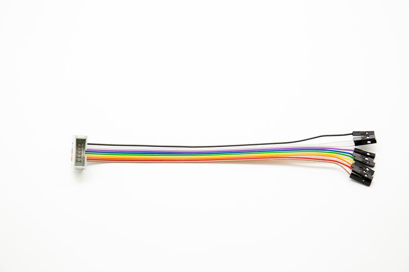 10 Pin IDC Socket Rainbow Color Flat Ribbon Cable With Raspberry Pi